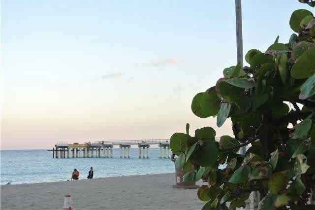 Miami Beach Apto. Em Frente A Praia $799,000