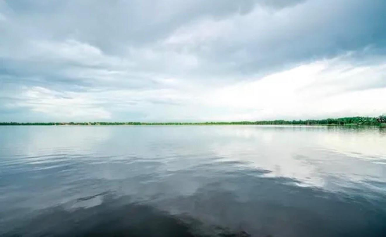 Mansao De Luxo e Fazenda em Frente a Lagoa entre Tampa e Orlando $4,900,000